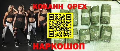 дживик Кингисепп