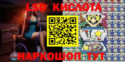 стаф Кимры
