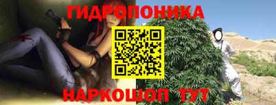 стаф Кимры